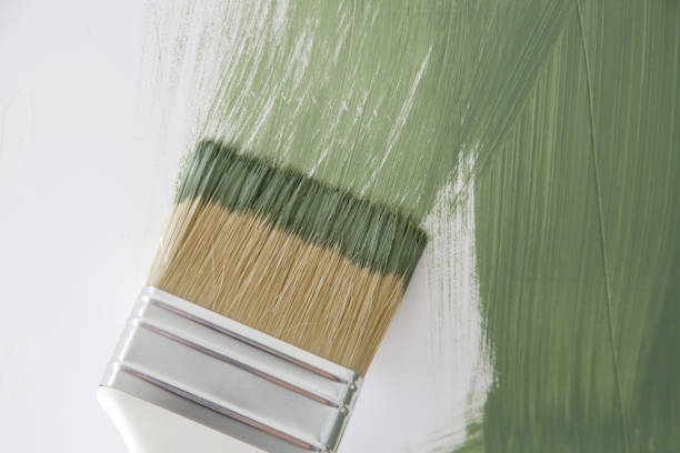 Best Water Damage & Mold Remediation  in New Burlington, OH