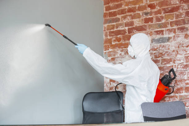 Best Residential Mold Inspection & Testing  in New Burlington, OH