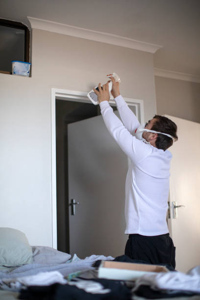 Best Dehumidification Services  in New Burlington, OH