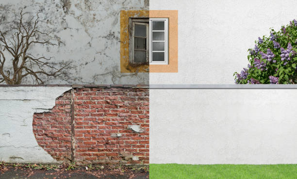 Best Mold Remediation for Healthcare Facilities  in New Burlington, OH